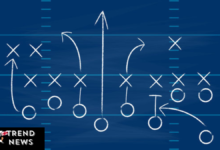 nfl playbook