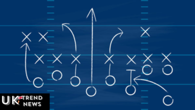 nfl playbook