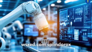 wsxed.com splindorax